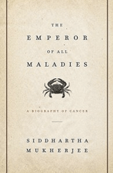 Screen Shot 2014-12-31 at 8.42.03 PM