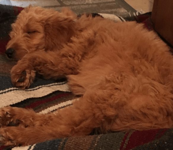 Screen Shot 2017-03-28 at 3.45.48 PM